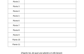 Fiche denquete plantes