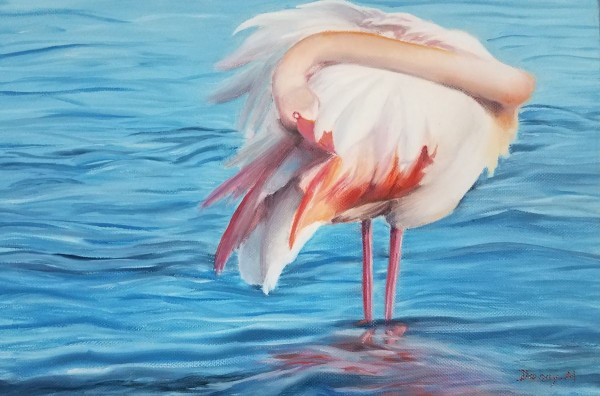 Flamant rose