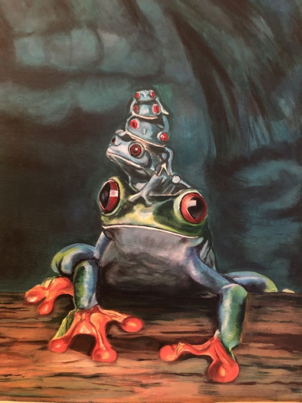 Petite grenouille aux yeux rouges