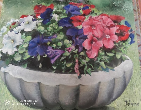 Pétunias du jardin