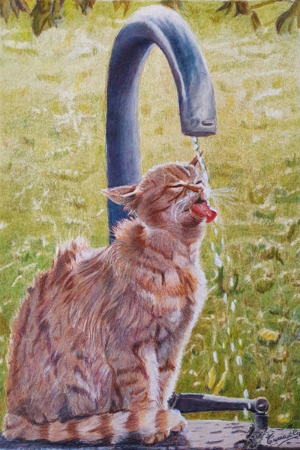 Chat à la fontaine