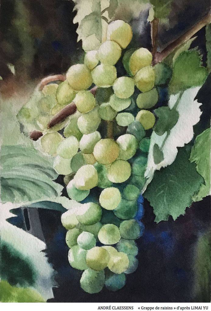 raisins d'après LIMAI YU