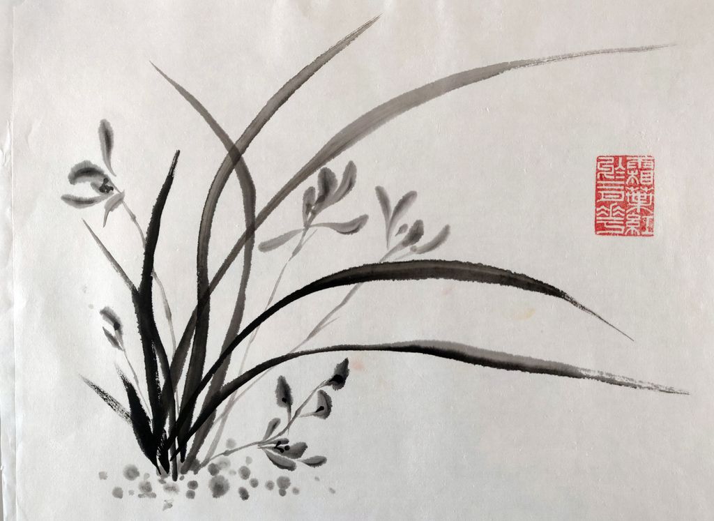 Orchidée Noire