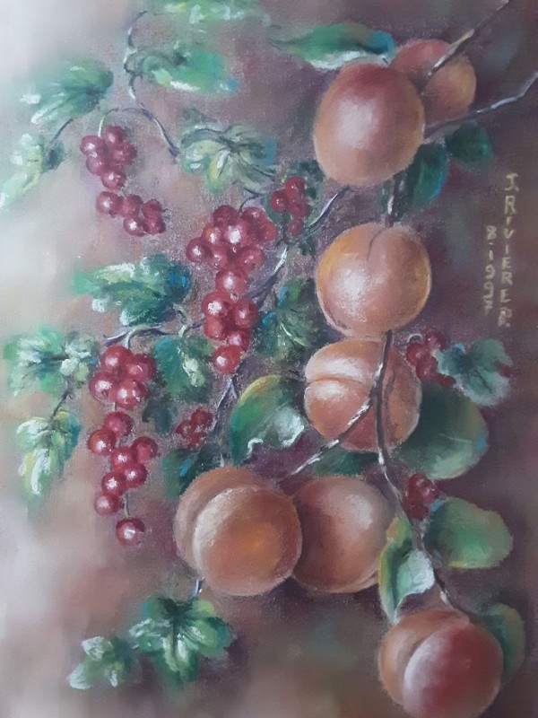 Abricots et groseilles 31x41cm