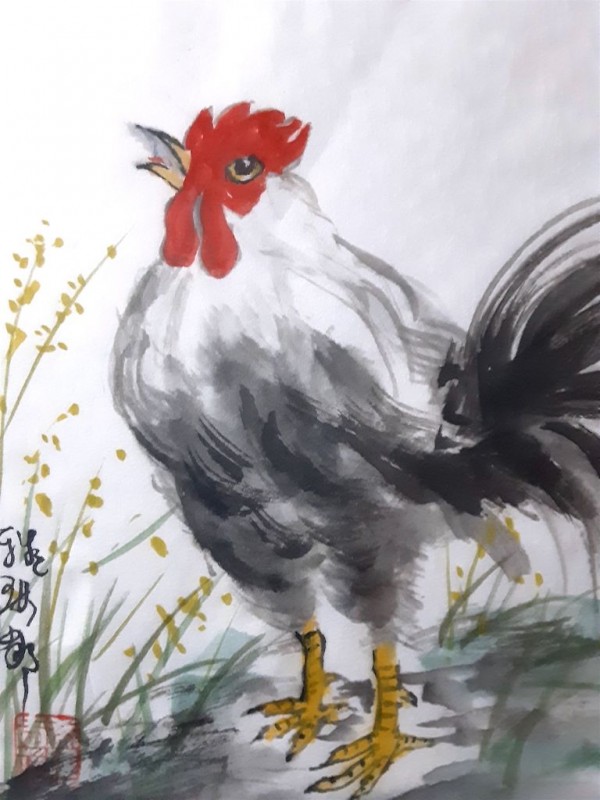 Coq 19x25cm