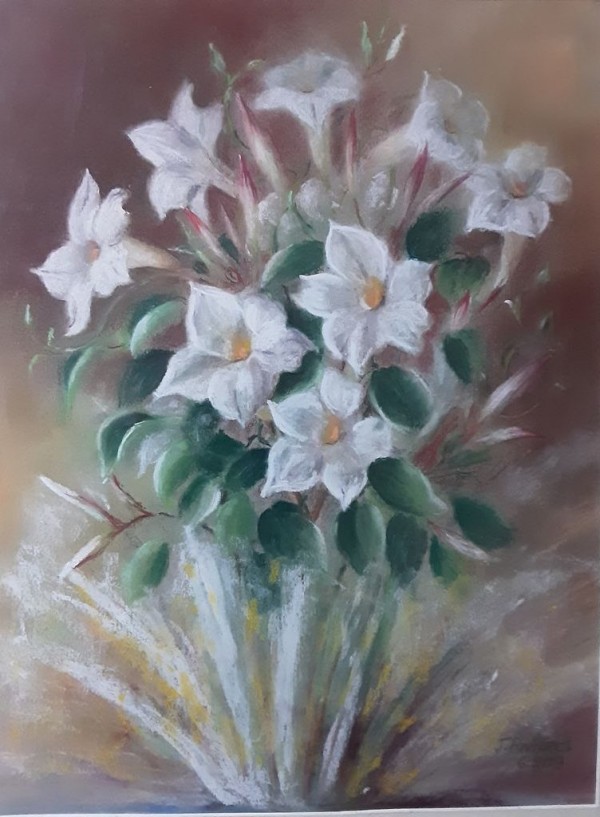 Dipladénias 41x51cm