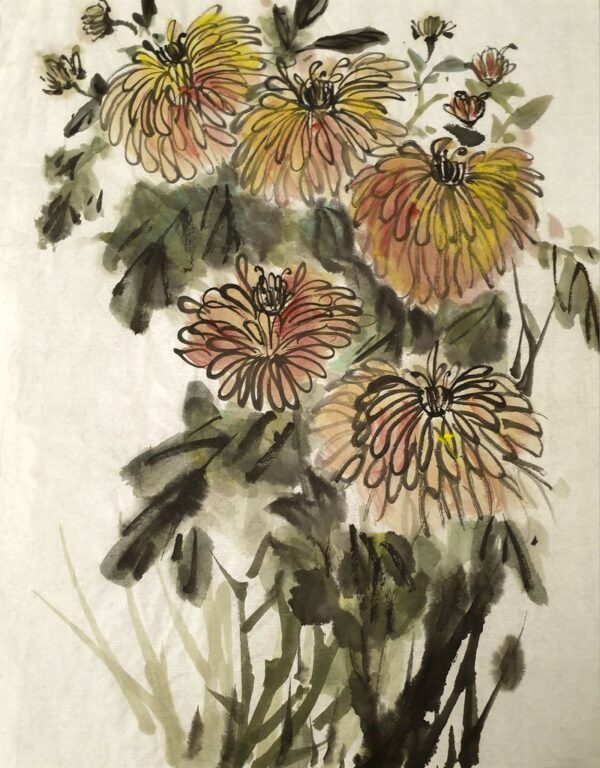 Chrysanthèmes
