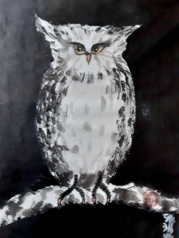 Hibou 28x37cm