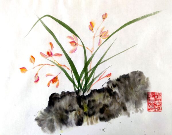 Orchidée et son rocher