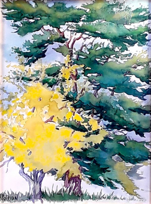 aquarelle