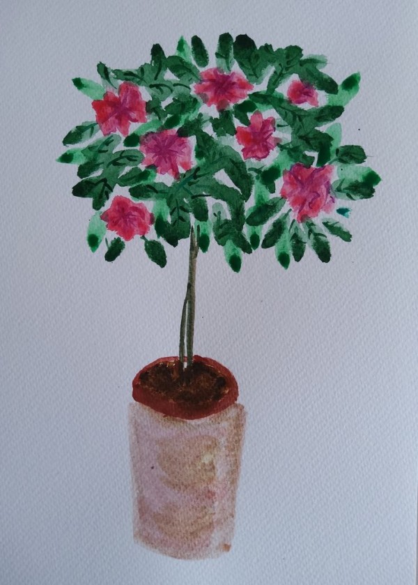 Azalées - aquarelle