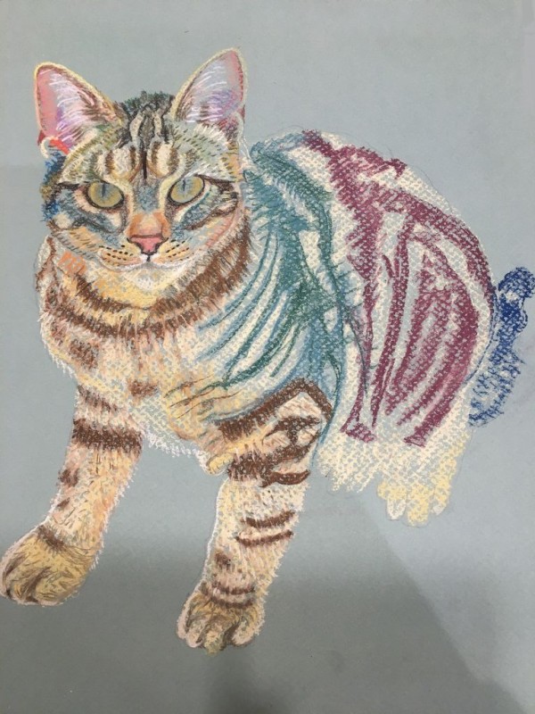 Chat - pastels