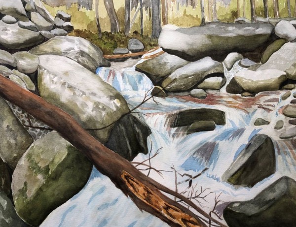 Rivière tumultueuse