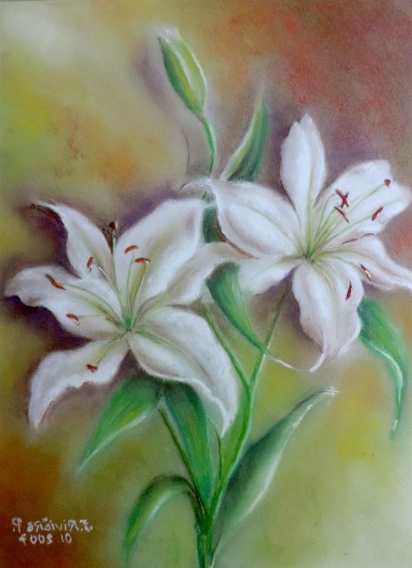 Lys blancs