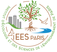 logo iees couleur transparent FR